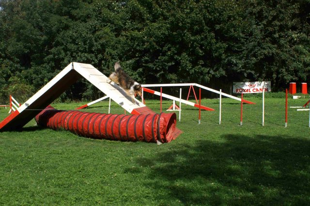 agility 2011-08